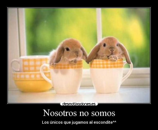 Nosotros no somos - Los únicos que jugamos al escondite^^