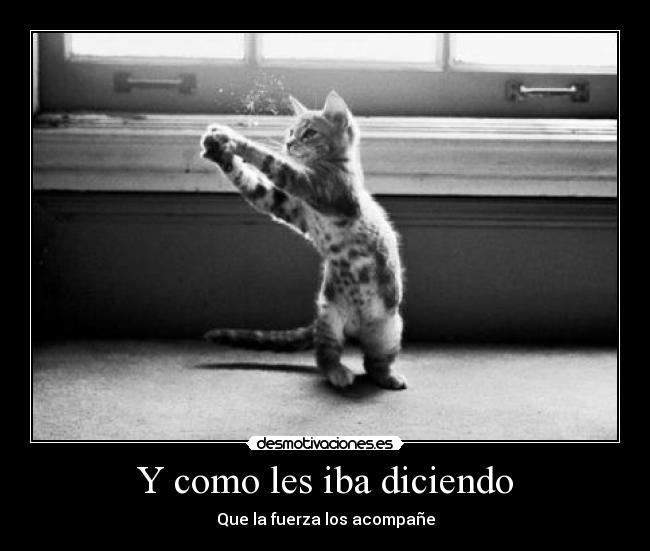 Y como les iba diciendo -