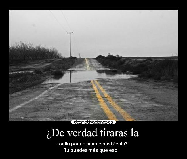 ¿De verdad tiraras la  - 