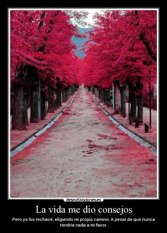 La vida me dio consejos -