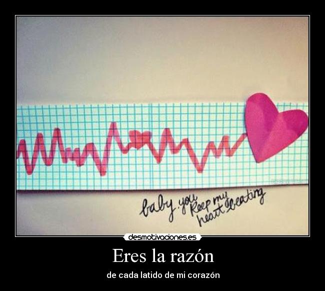 Eres la razón - 