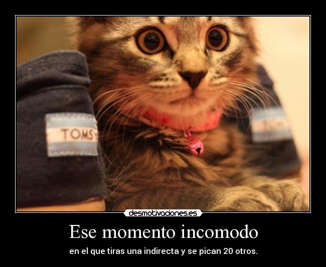 carteles indirectas desmotivaciones