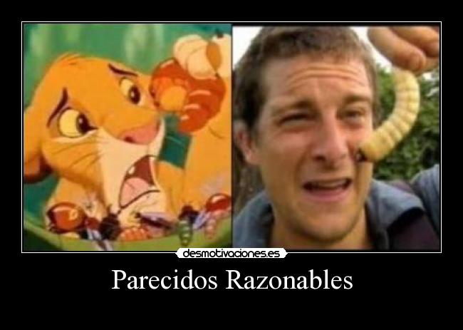 Parecidos Razonables -