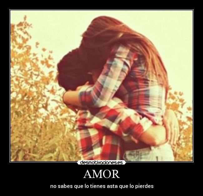 AMOR - 