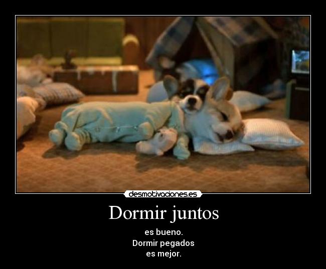 Dormir juntos - es bueno.
Dormir pegados
es mejor.