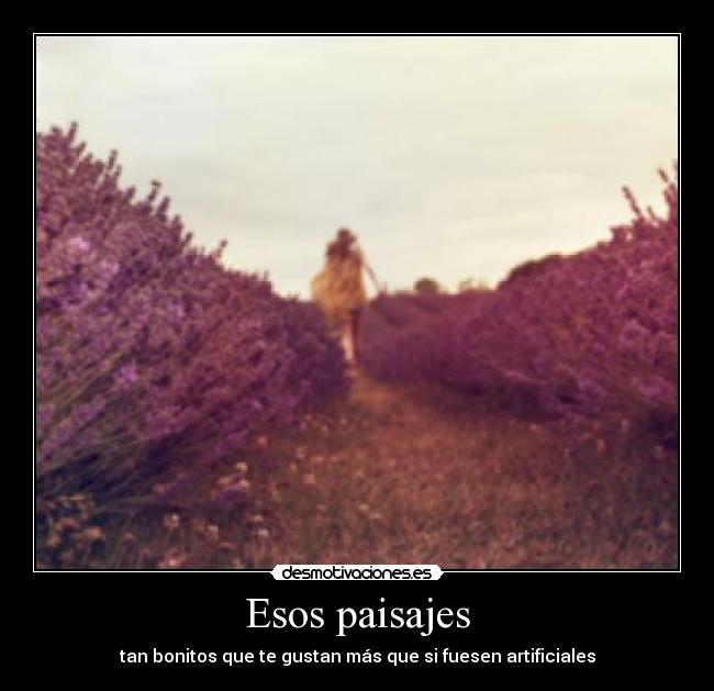 Esos paisajes - 