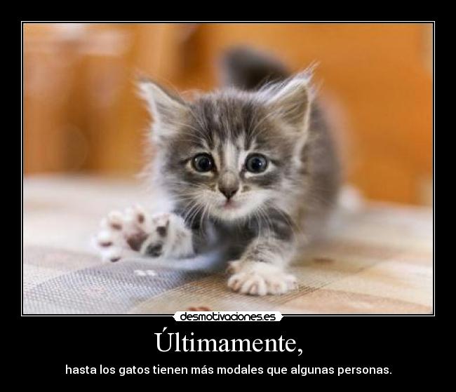 Últimamente, -