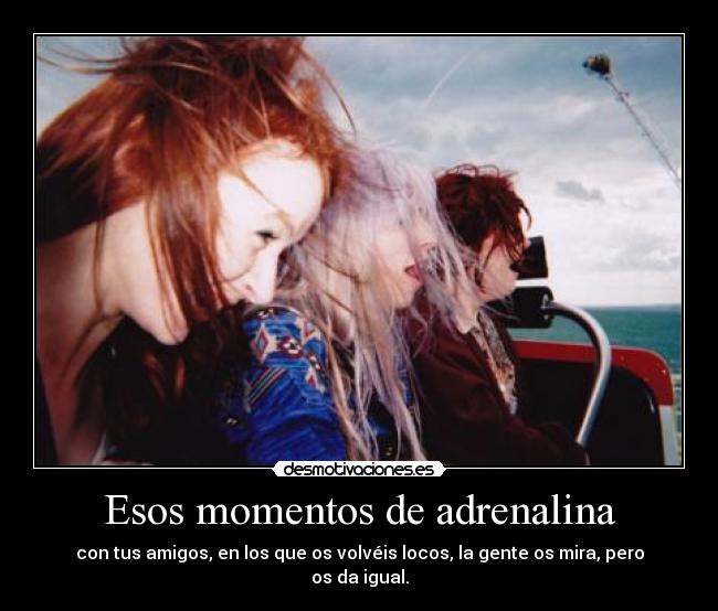 carteles paso pipa xddddd desmotivaciones