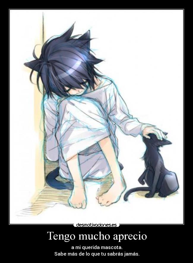 Tengo mucho aprecio - 