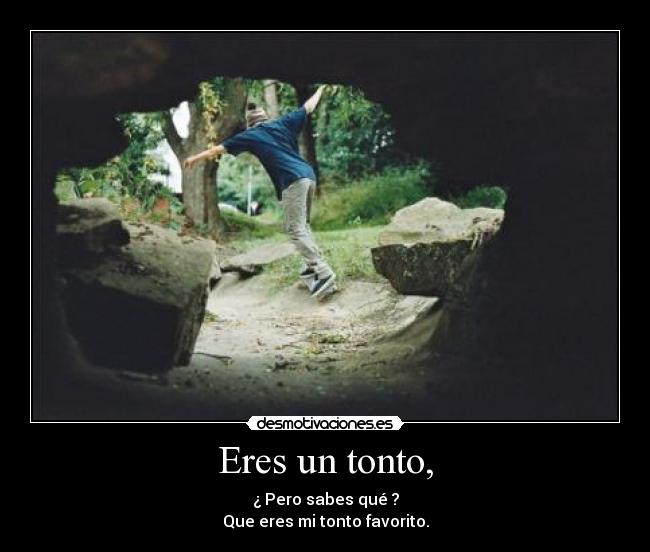 carteles tonto tontacol desmotivaciones