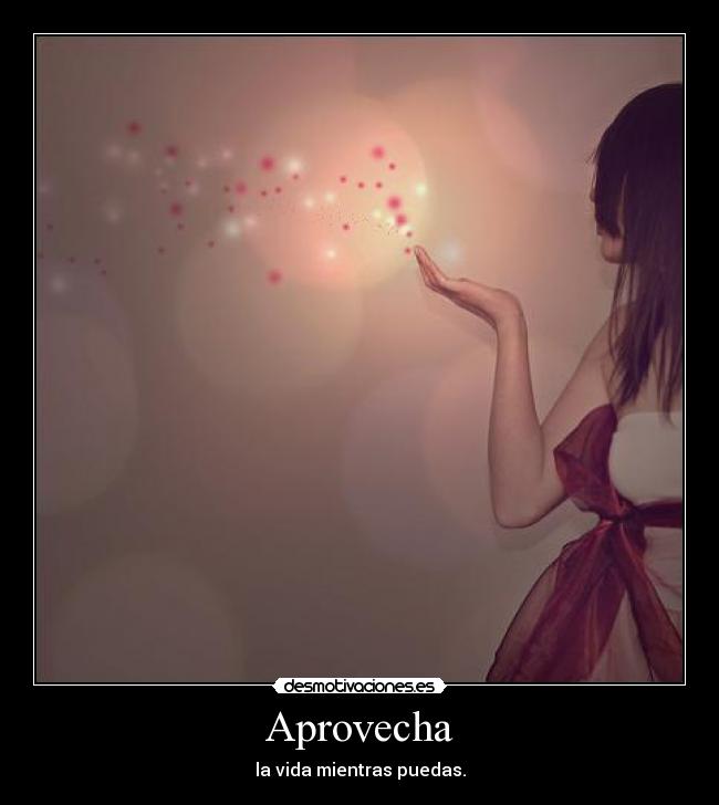 Aprovecha -