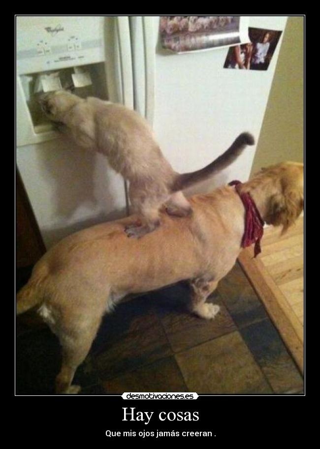 Hay cosas - Que mis ojos jamás creeran .