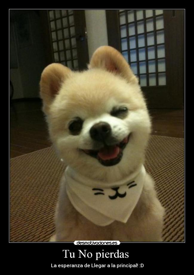 Tu No pierdas  - La esperanza de Llegar a la principal! :D