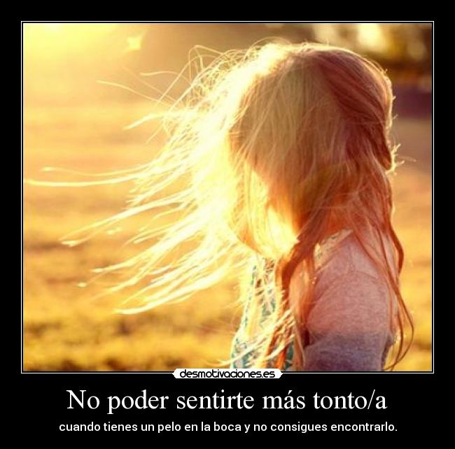 carteles pelo boca tonto desmotivaciones