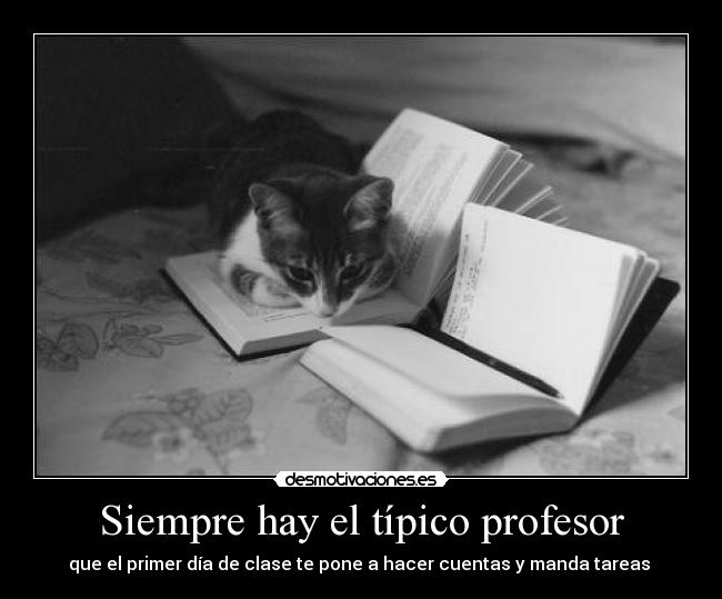 Siempre hay el típico profesor -