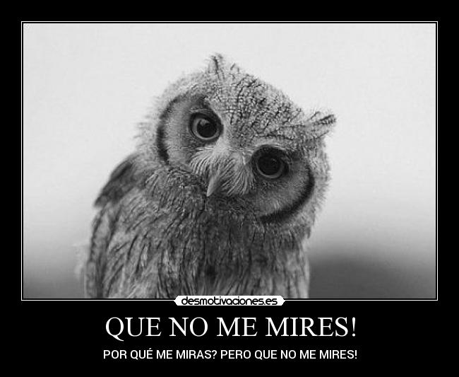 QUE NO ME MIRES! - POR QUÉ ME MIRAS? PERO QUE NO ME MIRES!