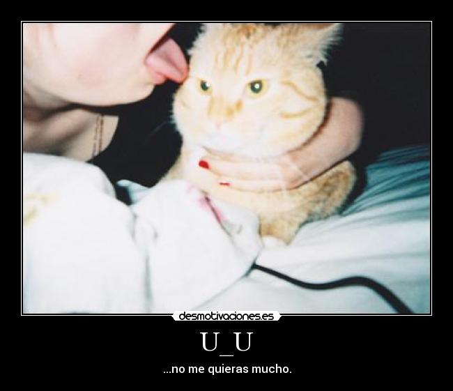 U_U - ...no me quieras mucho.