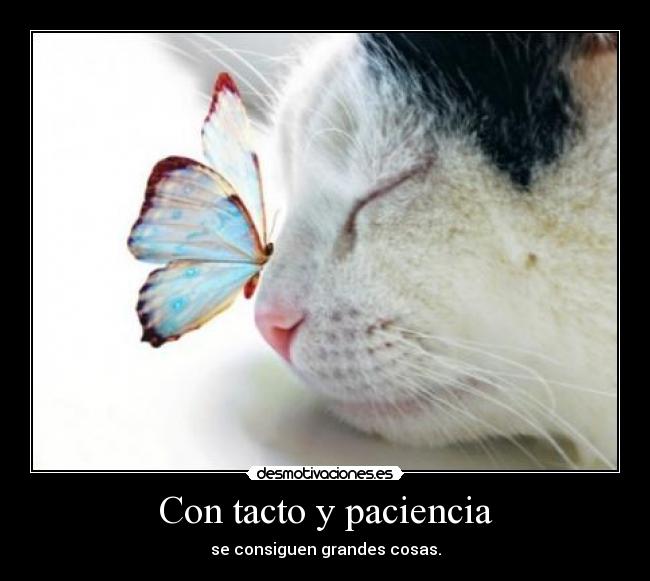 Con tacto y paciencia -