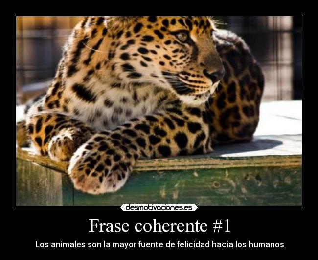 Frase coherente #1 - Los animales son la mayor fuente de felicidad hacia los humanos