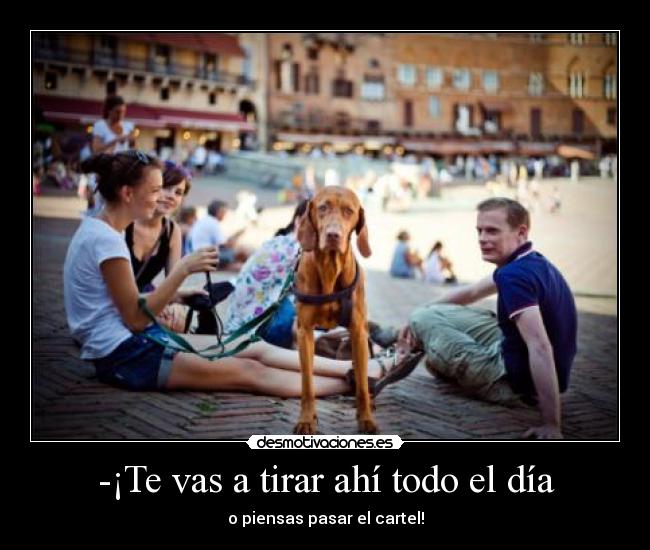-¡Te vas a tirar ahí todo el día - o piensas pasar el cartel!