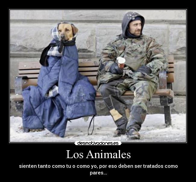 Los Animales -
