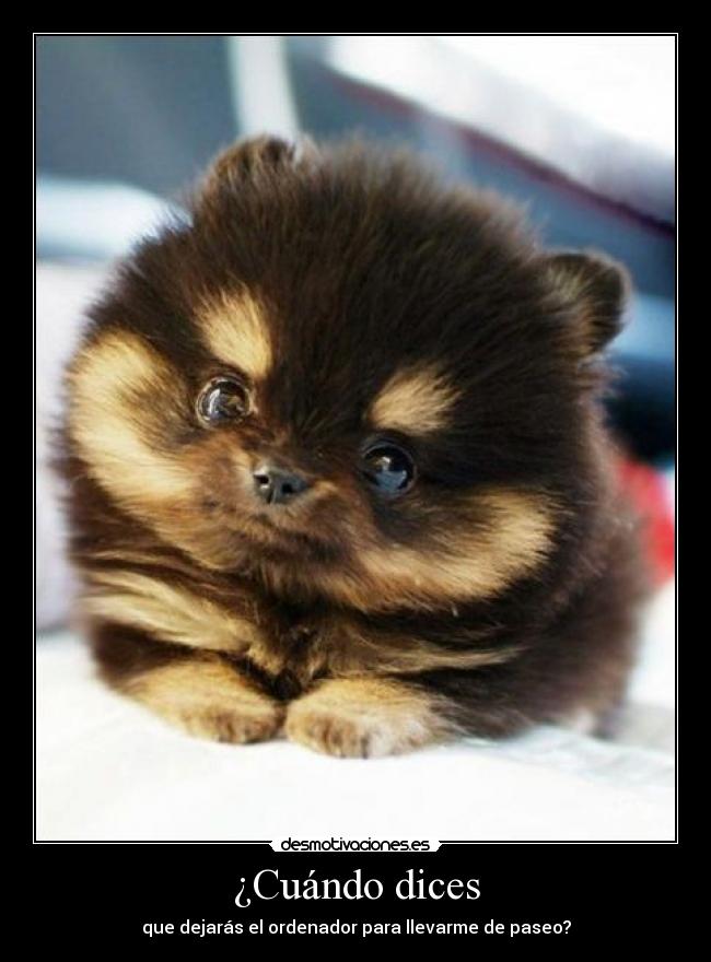 ¿Cuándo dices - que dejarás el ordenador para llevarme de paseo?