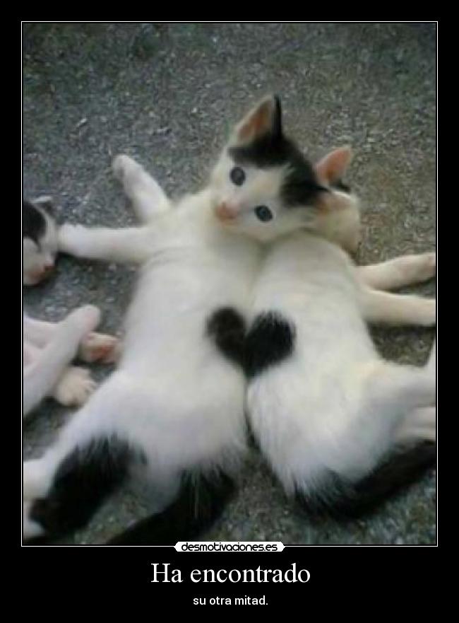 Ha encontrado - su otra mitad.