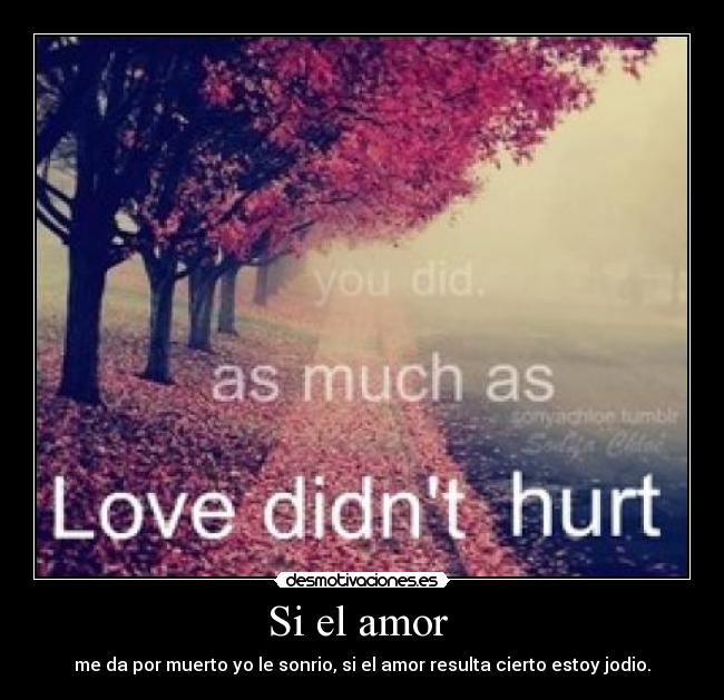 Si el amor  - me da por muerto yo le sonrio, si el amor resulta cierto estoy jodio.