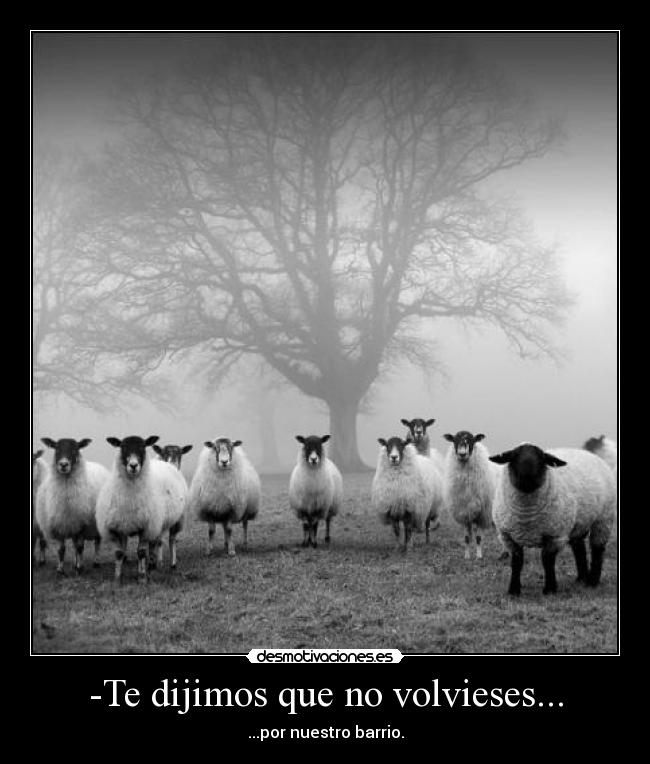-Te dijimos que no volvieses... - ...por nuestro barrio.