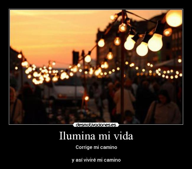 carteles vida sulli quiero casate conmigo desmotivaciones