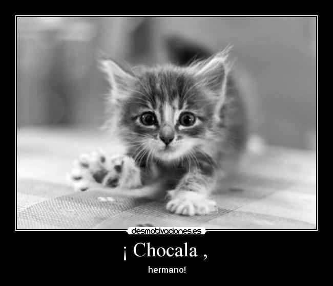 ¡ Chocala ,  - 