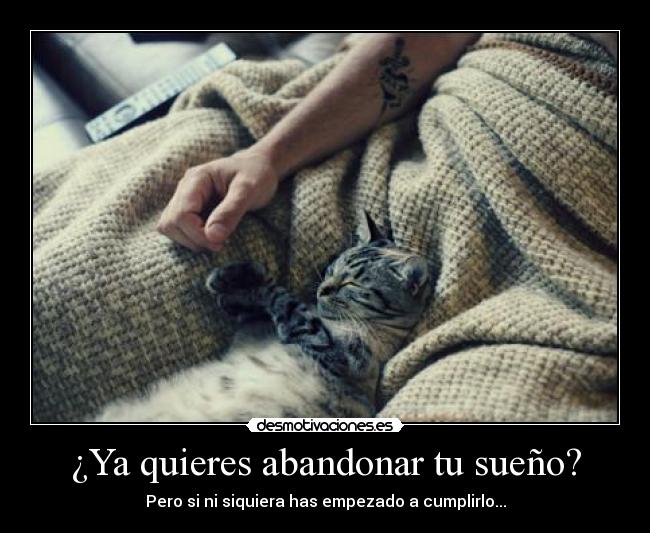 ¿Ya quieres abandonar tu sueño? - 