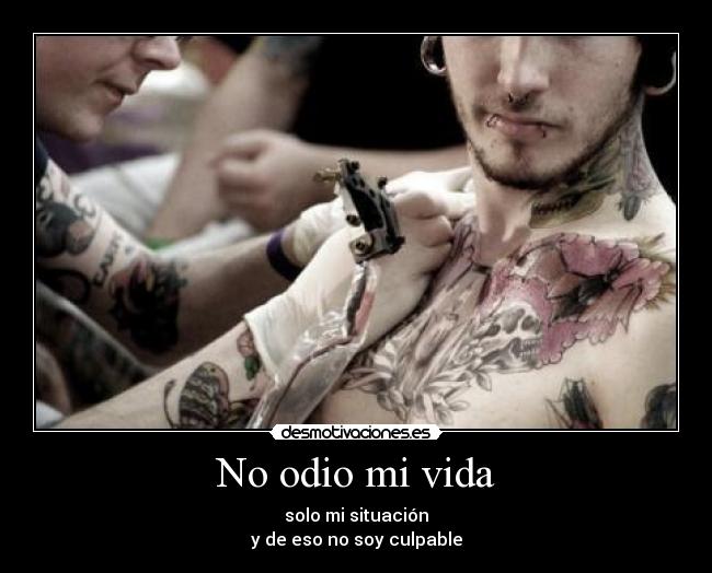 No odio mi vida - 