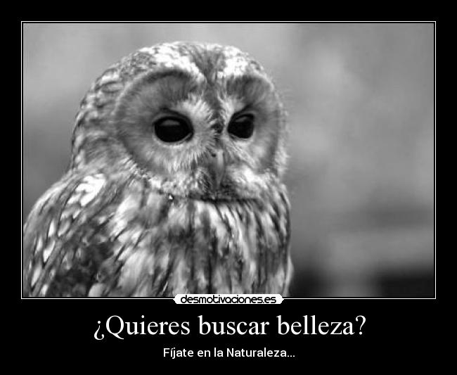 ¿Quieres buscar belleza? - 