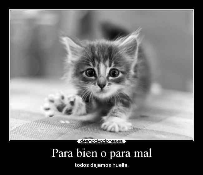 Para bien o para mal - 