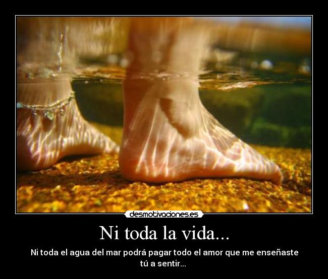 Ni toda la vida... -