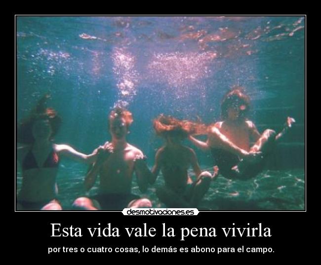 Esta vida vale la pena vivirla - por tres o cuatro cosas, lo demás es abono para el campo.