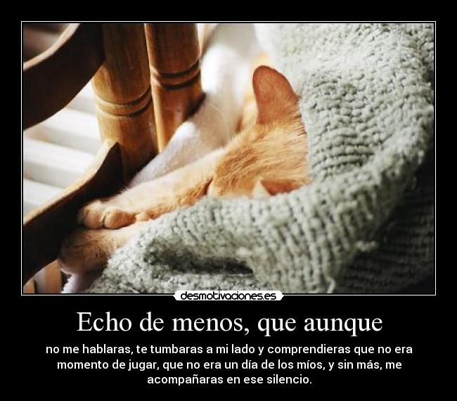 Echo de menos, que aunque - no me hablaras, te tumbaras a mi lado y comprendieras que no era
momento de jugar, que no era un día de los míos, y sin más, me
acompañaras en ese silencio.