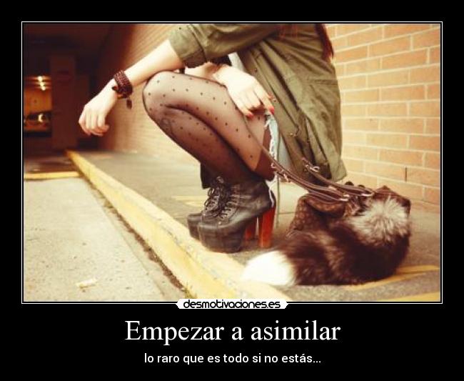 Empezar a asimilar -