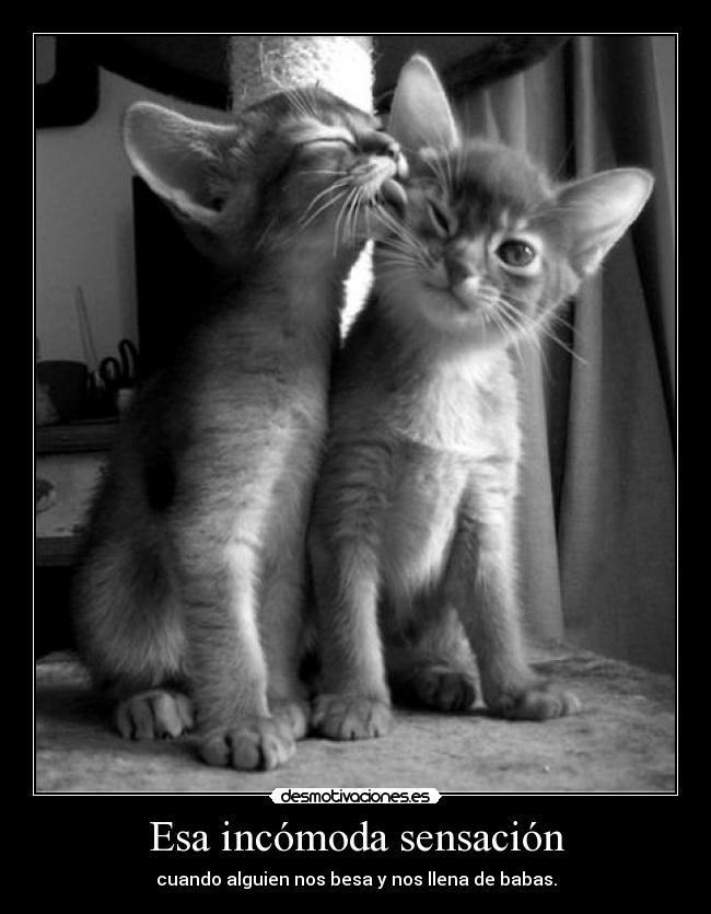 Esa incómoda sensación - cuando alguien nos besa y nos llena de babas.