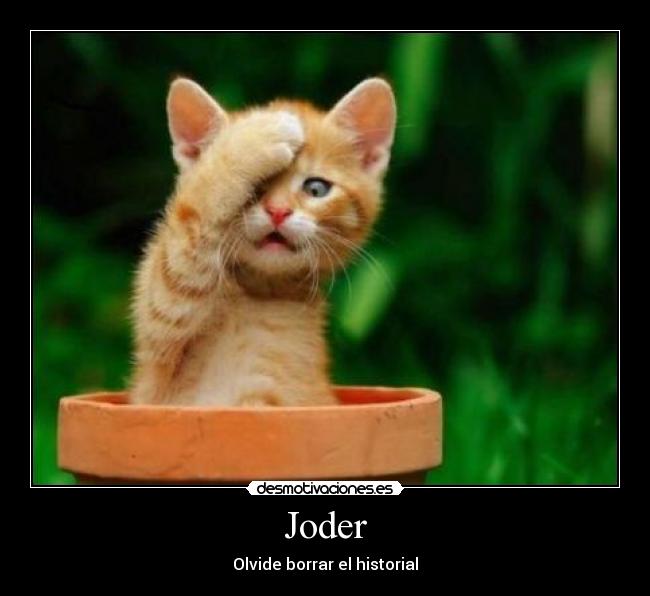 Joder - Olvide borrar el historial