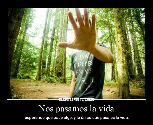 carteles vida zerogravity desmotivaciones