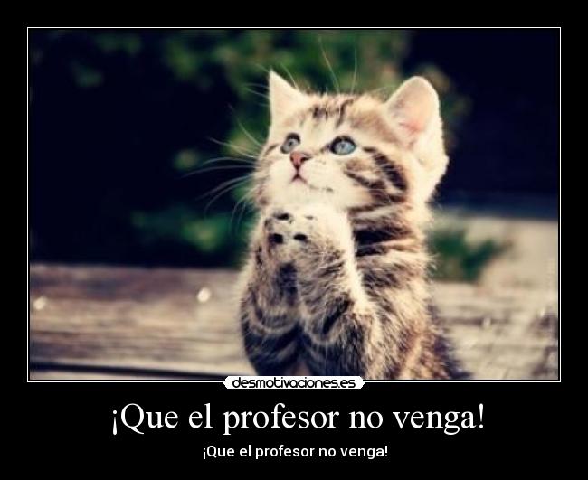 ¡Que el profesor no venga! - 