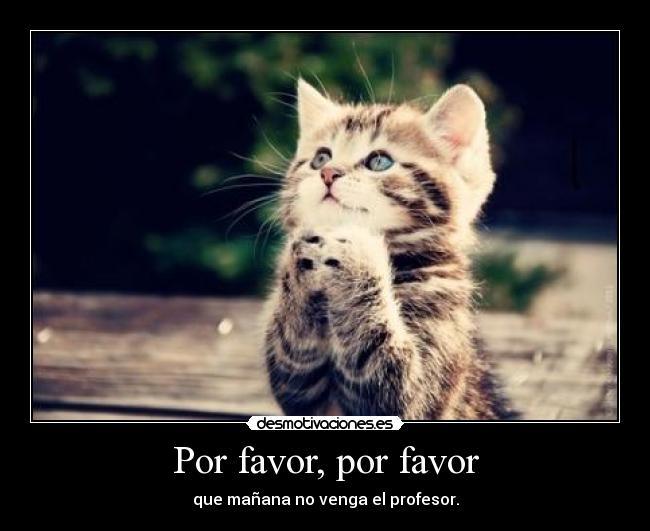 Por favor, por favor - 