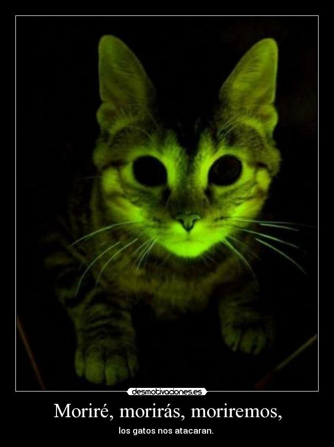 Moriré, morirás, moriremos, - los gatos nos atacaran.