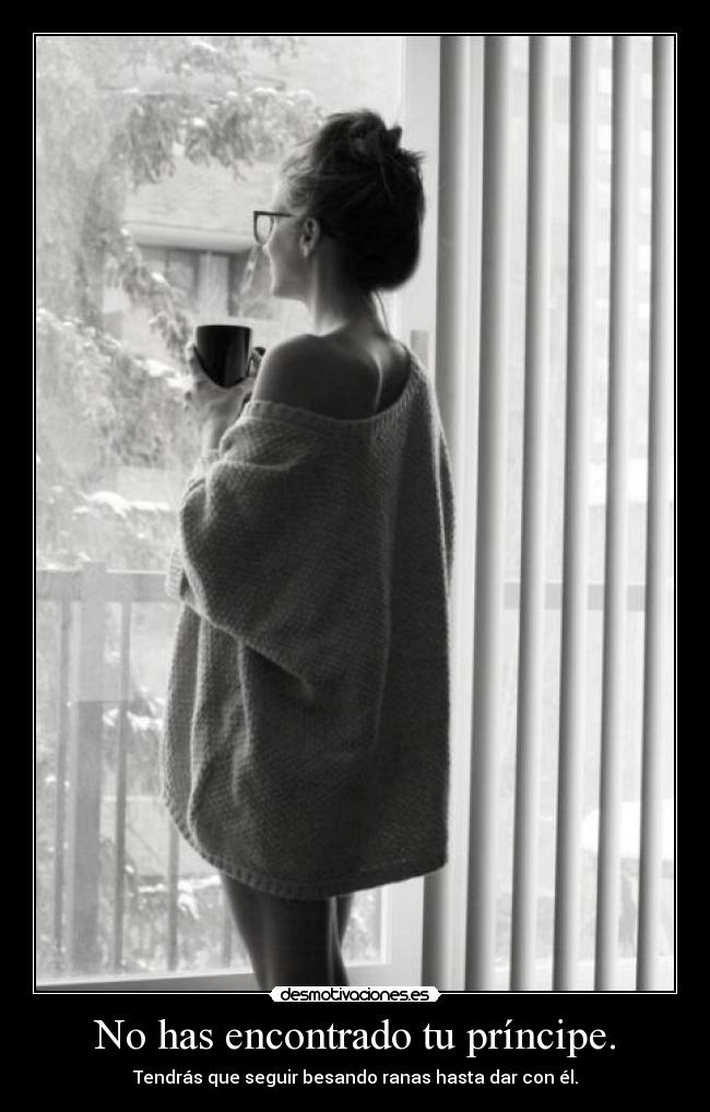 carteles has encontrado principe desmotivaciones