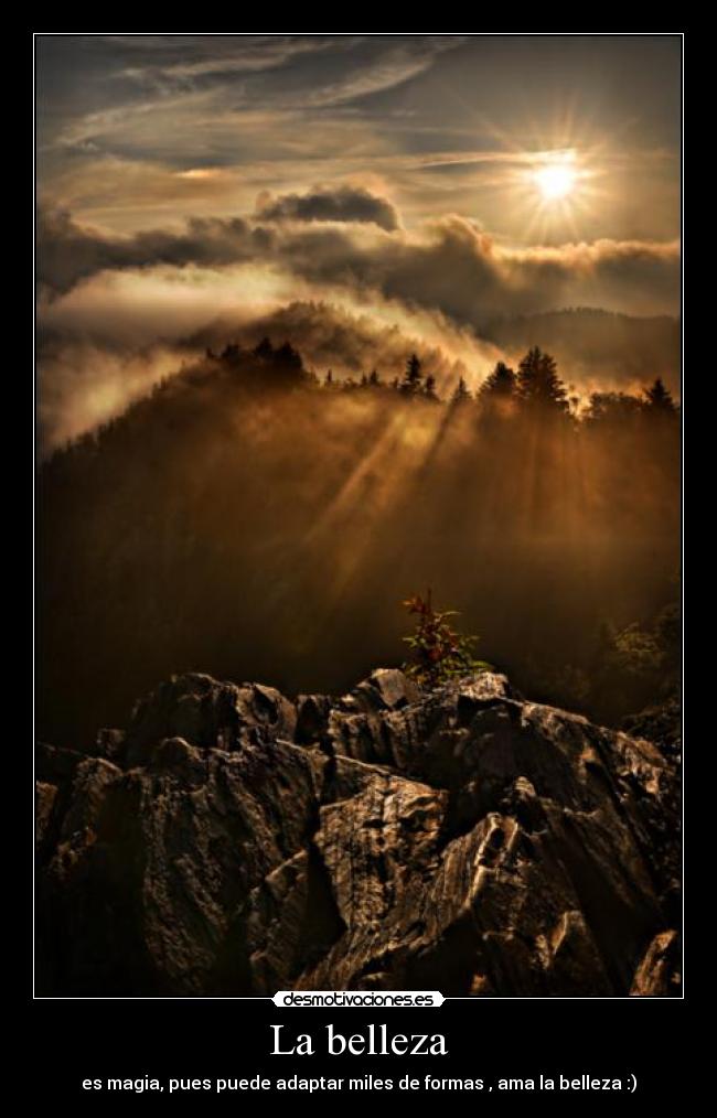 La belleza - es magia, pues puede adaptar miles de formas , ama la belleza :)