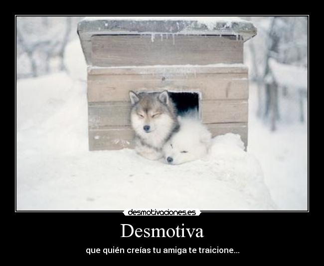 Desmotiva - que quién creías tu amiga te traicione...