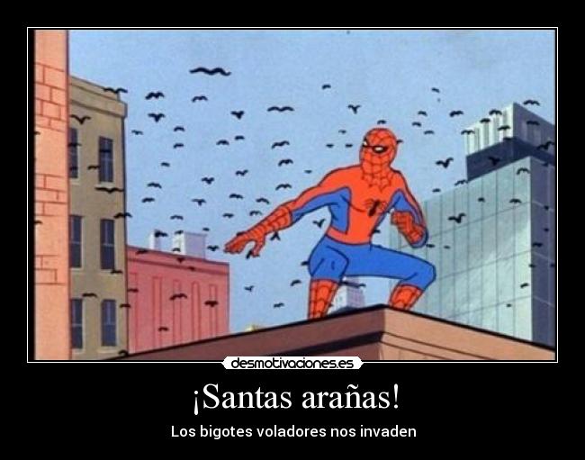 ¡Santas arañas! - Los bigotes voladores nos invaden