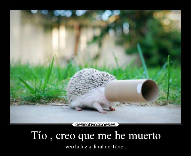 Tío , creo que me he muerto - 